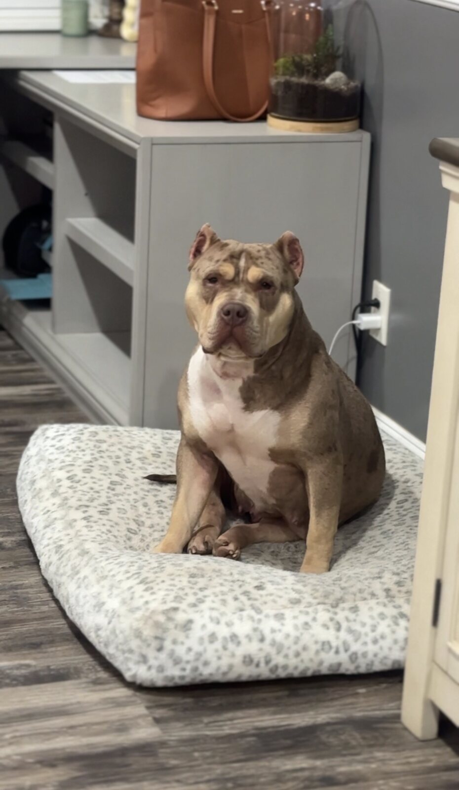 Kaia